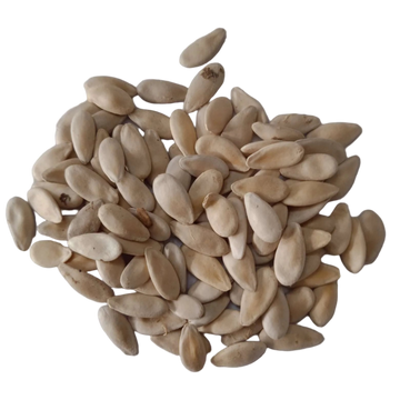 Cucumber Seeds — Organic , Aromatic seed pack | Native Indian Organics