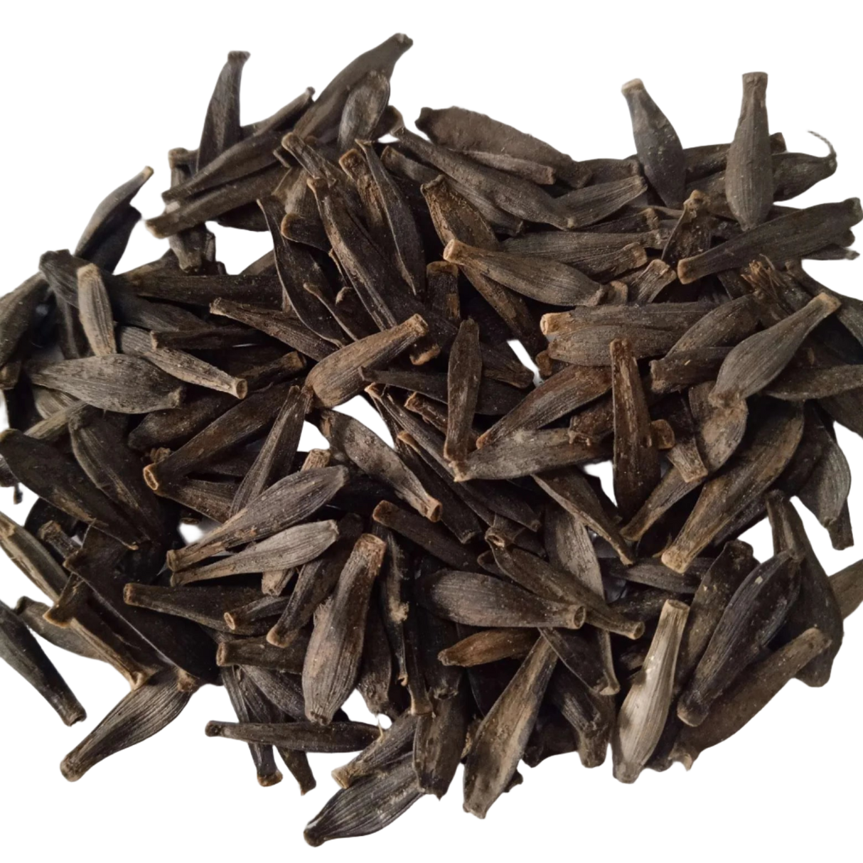 Dahlia Flower Mixed Seeds - High Germination, Colourful Flower Seeds | Native Indian Organics