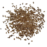 Daisy Double Mix seeds — Natural and Fresh Organic Flower Seeds | Native Indian Organics