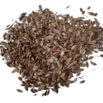 Dill Herb seeds - Organic, Fresh and Natural Seeds | Native Indian Organics 
