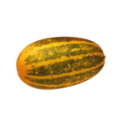 Yellow Cucumber (Dosakaya)