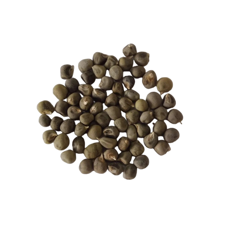 Elephant Tusk Okra seeds (Lady finger Seeds ) - Nutritient Rich , Highly Germinated Seeds | Native Indian Organics