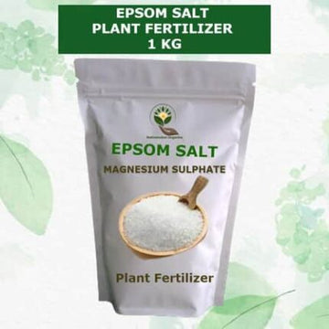 EPSOM SALT Magnesium Sulphate Fertilizer 1 KG — Nutrient-dense, Organic seed pack | Native Indian Organics