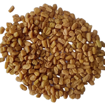 Fenugreek seeds -  Herbal and Leafy Vegetable Seeds | Native Indian Organics