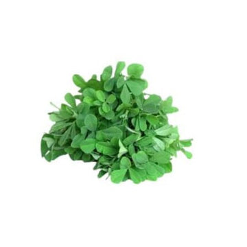 Fenugreek seeds — Crisp, Aromatic seed pack | Native Indian Organics