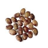 Field Beans (Vari Mochai) seeds