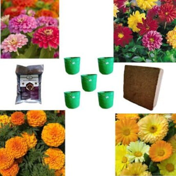 Flower Gardening Kit — Native, Aromatic seed pack | Native Indian Organics