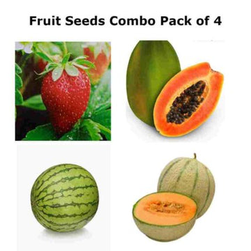 Fruit seeds combo of 4 — Heirloom, Non-GMO seed pack | Native Indian Organics