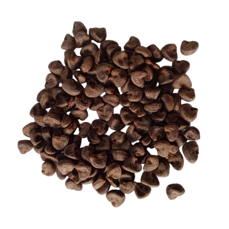 Gongura Seeds Pulicha Keerai - Natural Seeds | Native Indian Organics