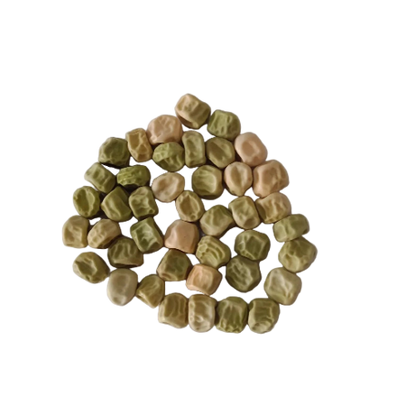 Green Pea Seeds — Organic and High Germinated Seeds | Native Indian Organics