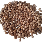 Guava Pink Fruit Seeds - Organic , Non - GMO Fresh Seeds | Native Indian Organics