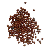 Hedge Lucerne Seeds - Fresh and Natural seed pack | Native Indian Organics