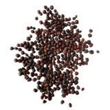 Kale Purple Seeds
