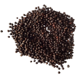 Knol Khol seeds — Organic , Non-GMO seeds | Native Indian Organics