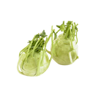 Knol Khol seeds — Heirloom, Non-GMO seed pack | Native Indian Organics