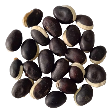Kozhi avarai vegetable seeds — Non - Chemical , Organic seed  | Native Indian Organics