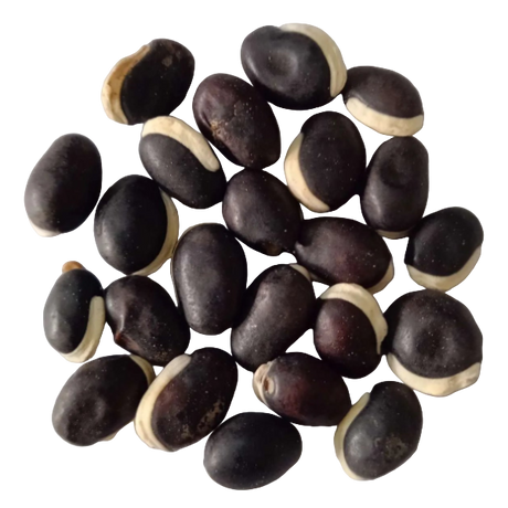 Kozhi avarai vegetable seeds — Non - Chemical , Organic seed  | Native Indian Organics