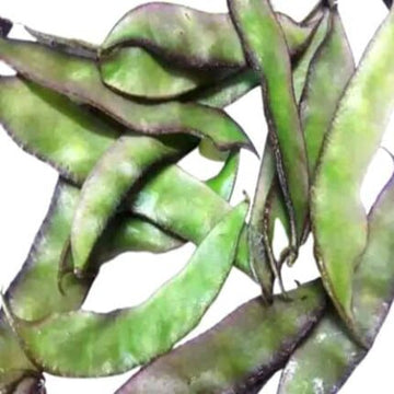 Kozhi avarai vegetable seeds — Crisp, Organic seed pack | Native Indian Organics