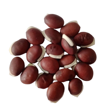 Lablab Beans seeds — Organic , Fresh and Natural | Native Indian Organics