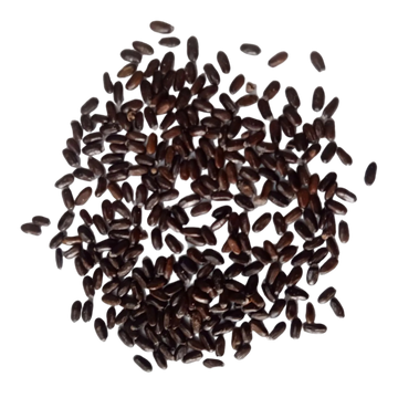 Lavender flower seeds - Organic, Natural and Fresh Seeds | Native Indian Organics |