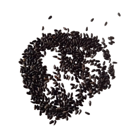 Lemongrass Seeds — Fresh and Organic seed pack | Native Indian Organics