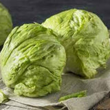 Lettuce Iceberg seeds