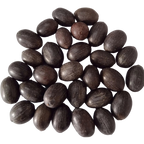 Lotus Seeds - High Germinated Organic Seeds | Native Indian Organics