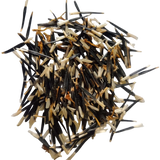 African Marigold White seeds — Fresh, Organic and Vibrant Colourful Flower Seeds | Native Indian Organics