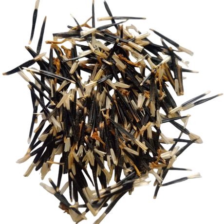 African Marigold Flower Seeds Orange -   Orange Vibrant Marigold Organic Seeds pack | Native Indian Organics