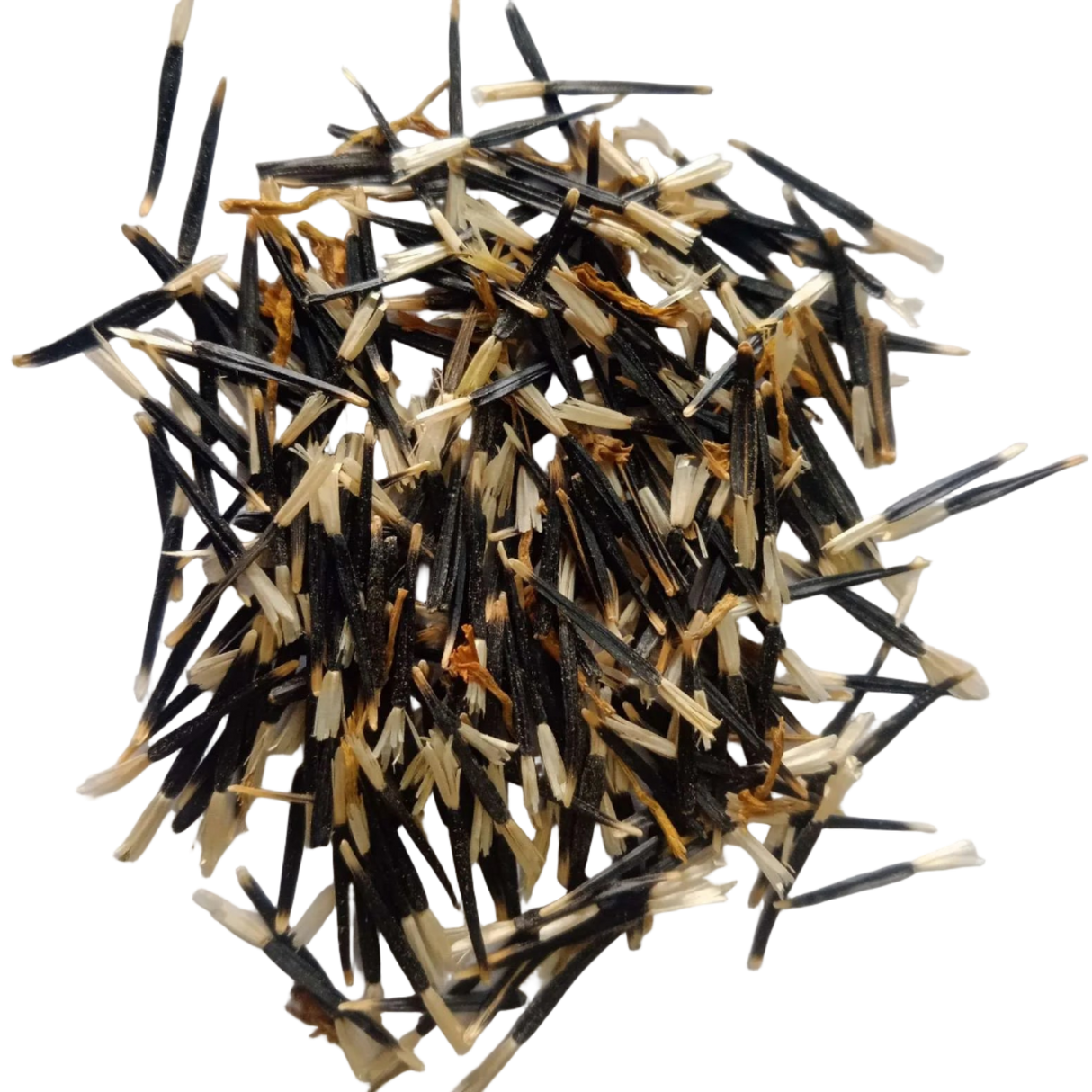 French Marigold Scarlet Red seeds - Fresh and Vibrant French Marigold Seeds | Native Indian Organics