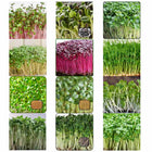 Microgreen Combo of 12 Each 10g