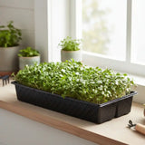 Best Microgreen planting tray - Premium Quality and Perfect for growing microgreen in Home Garden 