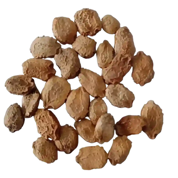 Midhi Paagal Bitter Gourd seeds 