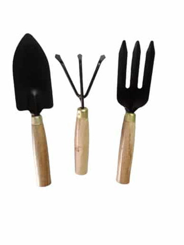 Mini Garden Tools set of 3 — Nutrient-dense, Organic seed pack | Native Indian Organics