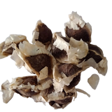 Moringa Seeds (Drumstick) - Fast Grwoing and Organic Seeds| Native Indian Organics
