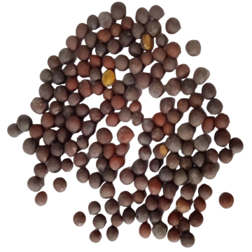 Mustard Seeds