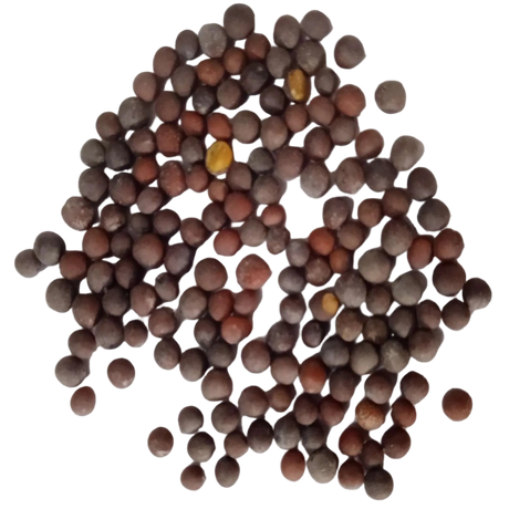 Mustard Seeds