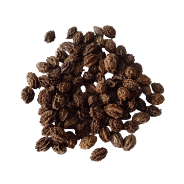 Native Papaya Seeds — Nutrient-dense,Fresh and Organic seeds | Native Indian Organics