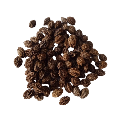Native Papaya Seeds — Nutrient-dense,Fresh and Organic seeds | Native Indian Organics