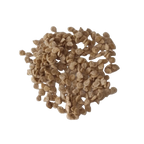 Tomato Seeds Desi — Premium quality, Fresh vegetable Seeds | Native Indian Organics