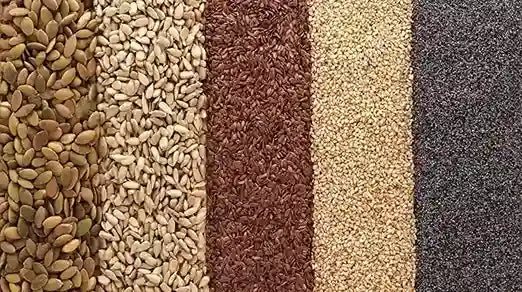 organic seeds online