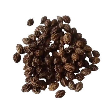 Papaya Red Lady F1 seeds —Fresh Aromatic seeds
