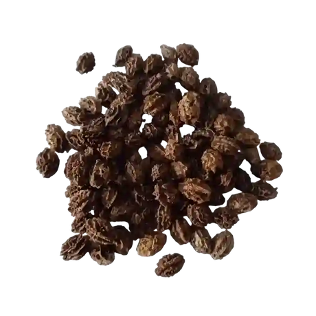 Papaya Red Lady F1 seeds —Fresh Aromatic seeds