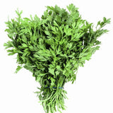 Parsley seeds — Crisp, Organic seed pack | Native Indian Organics