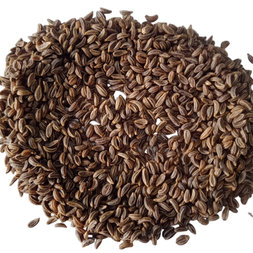Parsley seeds - Organic , Fresh leafy vegetable seeds with High Germination | Native Indian Organics