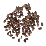 Phlox Twinkle star Mix seeds - Organic, Best Quality and Vibrant Flower seeds with High Germination | Native Indian Organics