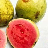 Guava Fruit (Pink) Seeds