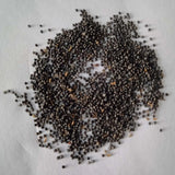 Mixed seeds of Portulaca Flower - High Germinated , Non-GMO Flower Seeds | Native Indian Organics