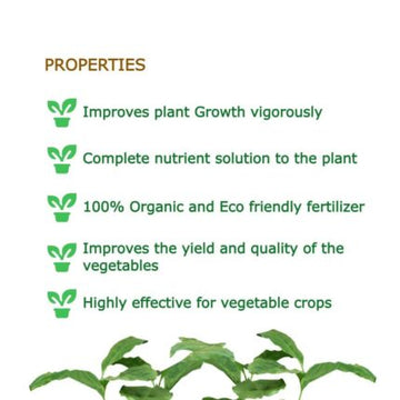 Amino Zyme Fish Amino Acid Plant Growth 250Ml — Reliable, Durable | Native Indian Organics