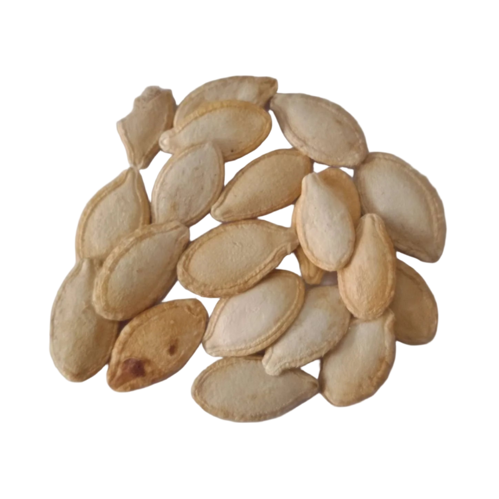 indian pumpkin seeds to plant Buy Pumpkin seeds for Gardening online India